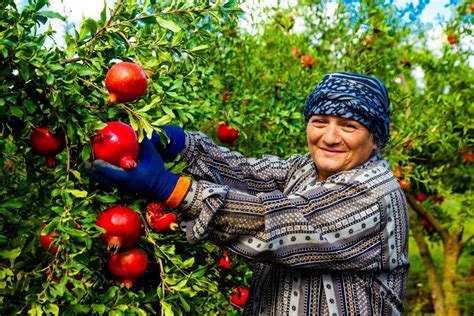 Mujeres Se Abren Paso En La Agroindustria Mundo Ejecutivo