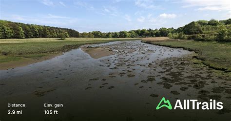 Aberlady Bay Local Nature Reserve and Gullane Sands: 9 Reviews, Map ...