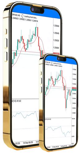 platforms global gold currency corporation  forex trading company