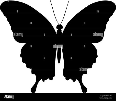 Monarch Butterfly Silhouette Isolated On White Background Vector