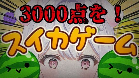 朝活 スイカゲーム】初3000点い”き”た”い”い”っっ！！！！【vtuber忠犬やくも】 Youtube