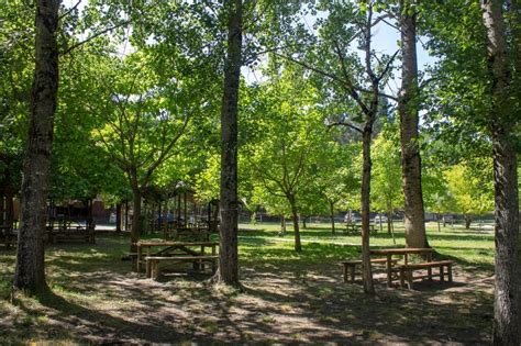 Parque De Merendas Da Barosa Piqueniques Vista Para Um Palco