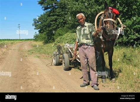 Wagen Von Einem Pferd Gezogen Fotos Und Bildmaterial In Hoher