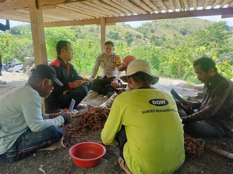 Bhabinkamtibmas Desa Pamboborang Dorong Produktivitas Petani Bawang Merah