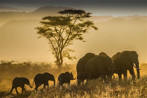 30 Wildlife Destination Pictures From The Nat Geo Travel Photo Contest