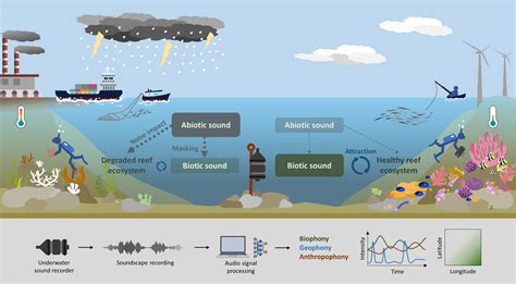 Using Soundscapes To Assess Changes In Coral Reef Social Ecological