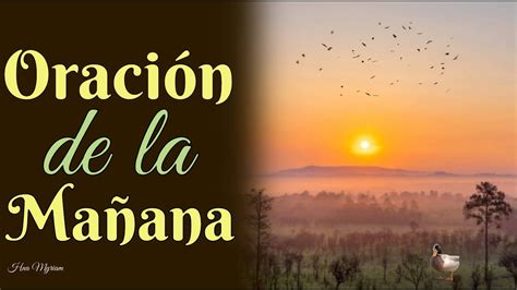 ORACIÓN DE LA MAÑANA SEÑOR JESÚS QUE TU PODER SE MANIFIESTE EN MI