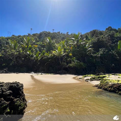 O Que Fazer Em Itacar Dicas Para O Seu Roteiro Na Bahia Dicas De