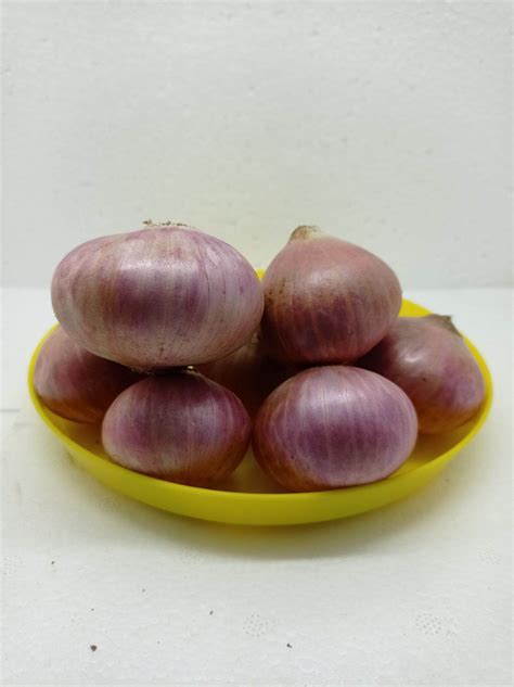 bawang besar merah india 1.5kg | Lazada