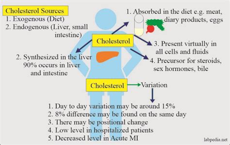 Lipids Total Lipids Role In Our Body Prof Riaz