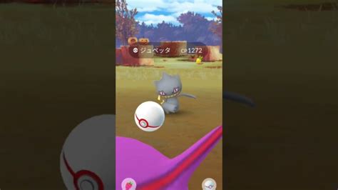 ダークライの色違いがほしすぎる！！ ショート ポケモン ポケモンgo 色違い ポケモンgo動画まとめ