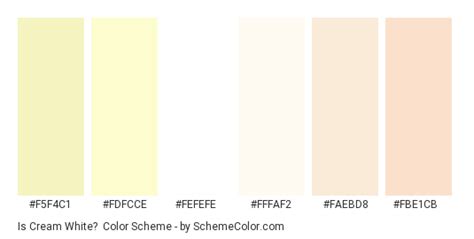 Is Cream White? Color Scheme » Cream » SchemeColor.com