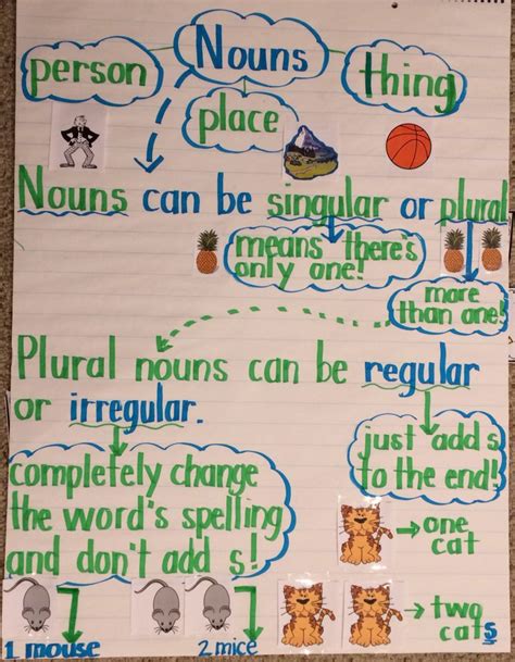 Nouns Anchor Chart Irregular Plural Nouns Regular Plural Nouns Singular Versus Plural