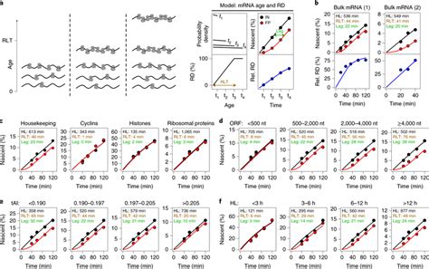 NRibo-Seq quantifies the time required for full polysome assembly in... | Download Scientific ...