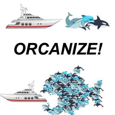 Let's Organize! | Orca Wars / Killer Whales Attacking Boats | Know Your ...