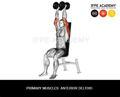 Dumbbell Shoulder Press IFPE Academy