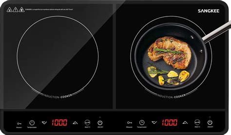 Parrilla De Inducción Eléctrica Magnética Doble Inducción Magnética De