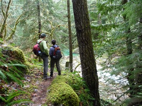 Stetattle Creek Trail - North Cascades National Park (U.S. National ...