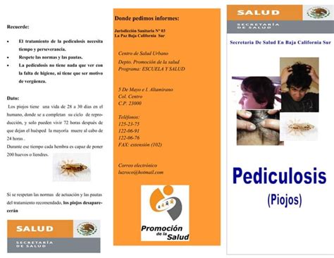 Triptico Pediculosis Pdf Descarga Gratuita