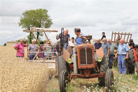 La F Te Des Battages De Sigogne A Ans Charente Libre Fr