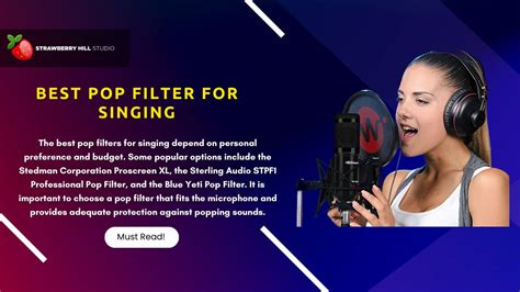 Best Pop Filters for Singing | Stop Plosives in Recordings