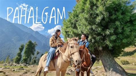 Pahalgam Baisaran Valley Ep 3 Horse Ride Youtube