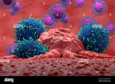 Leucemia Delle Cellule Umane Immagini E Fotos Stock Alamy