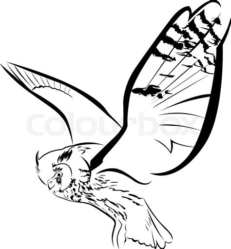 Flying Owl Illustration Black And White