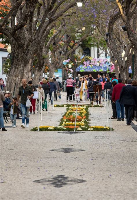 O Festival Da Flor De Madeira Na Cidade De Funchal Na Ilha De Madeira