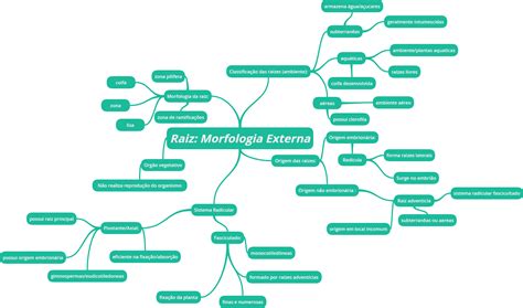 Mapa Mental Sobre Morfologia Ologia Images And Photos Finder Porn Sex