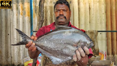 Kasimedu Speed Selvam Big Size Black Pomfret Fish Cutting Video