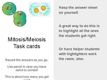 Twenty Task Cards Mitosis And Meiosis With Vocabulary By Perfect