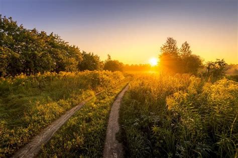 Sunrise on a field with wildflowers stock photo containing field and ...