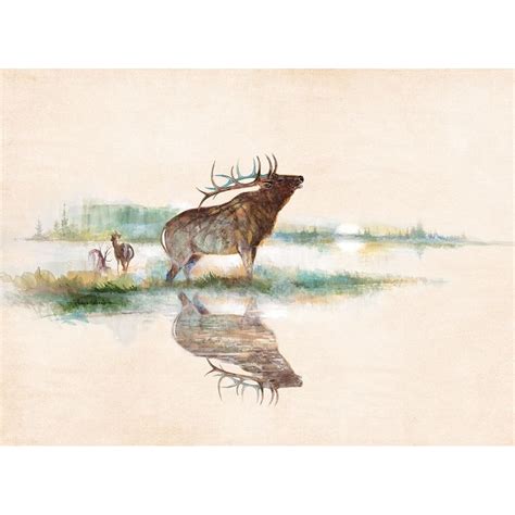 Misty Elk Poster Print By Ruane Manning Walmart