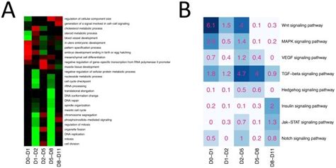 A Heatmap Of Enrichment Of Go Terms Amongst Up And Down Regulated