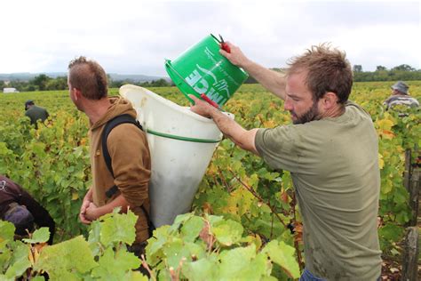 DOMAINE LA CLEF DU RÉCIT AOC Quincy