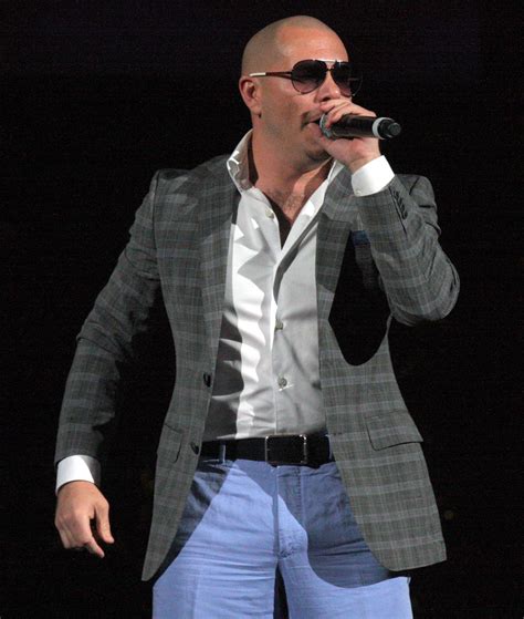 Pitbull Pitbull Rapper Pitbull The Singer Rapper