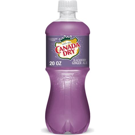 Canada Dry Blackberry Ginger Ale Soda Fl Oz Bottle Soft Drinks