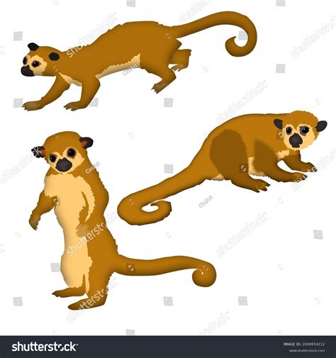 Kinkajou Cartoon Photos, Images and Pictures