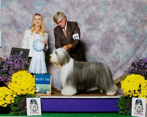 2014-select-dog – Bearded Collie Club of America