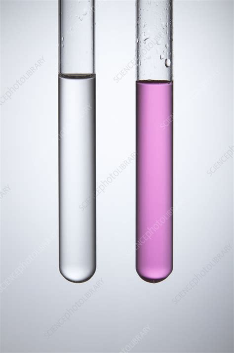 Phenolphthalein indicator - Stock Image - C028/0695 - Science Photo Library