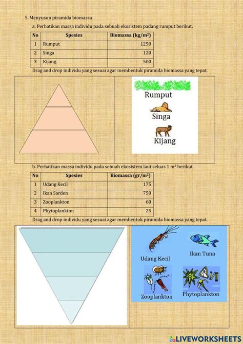 1921834 Lkpd Ekosistem 2 Atankhansa Liveworksheets