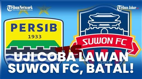 UJI COBA PERSIB VS SUWON FC BATAL Bojan Hodak Ungkap Kondisi Maung