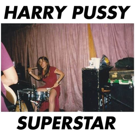 Harry Pussy Superstar Vinyl Merchandise Zavvi UK