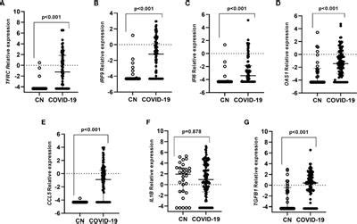 Frontiers Differential Expression Of Antiviral And Immune Related