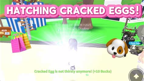 Hatching Cracked Eggs In Adopt Me YouTube