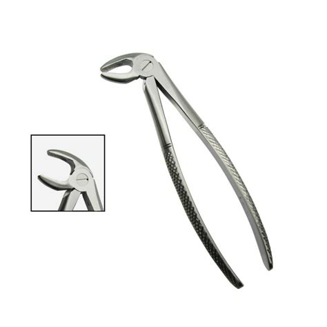 Buy Lower Premolar Forceps Bionexmed Dental Equipment