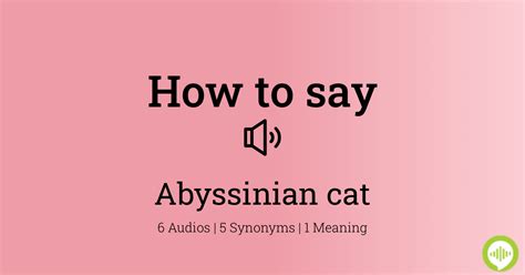 how to pronounce abyssinian