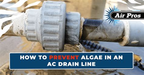 How To Prevent Algae In An Ac Drain Line Air Pros Usa