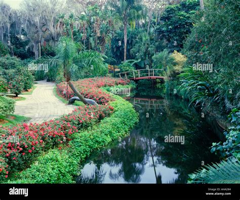 Cypress Gardens Florida Usa Fotos Und Bildmaterial In Hoher Auflösung